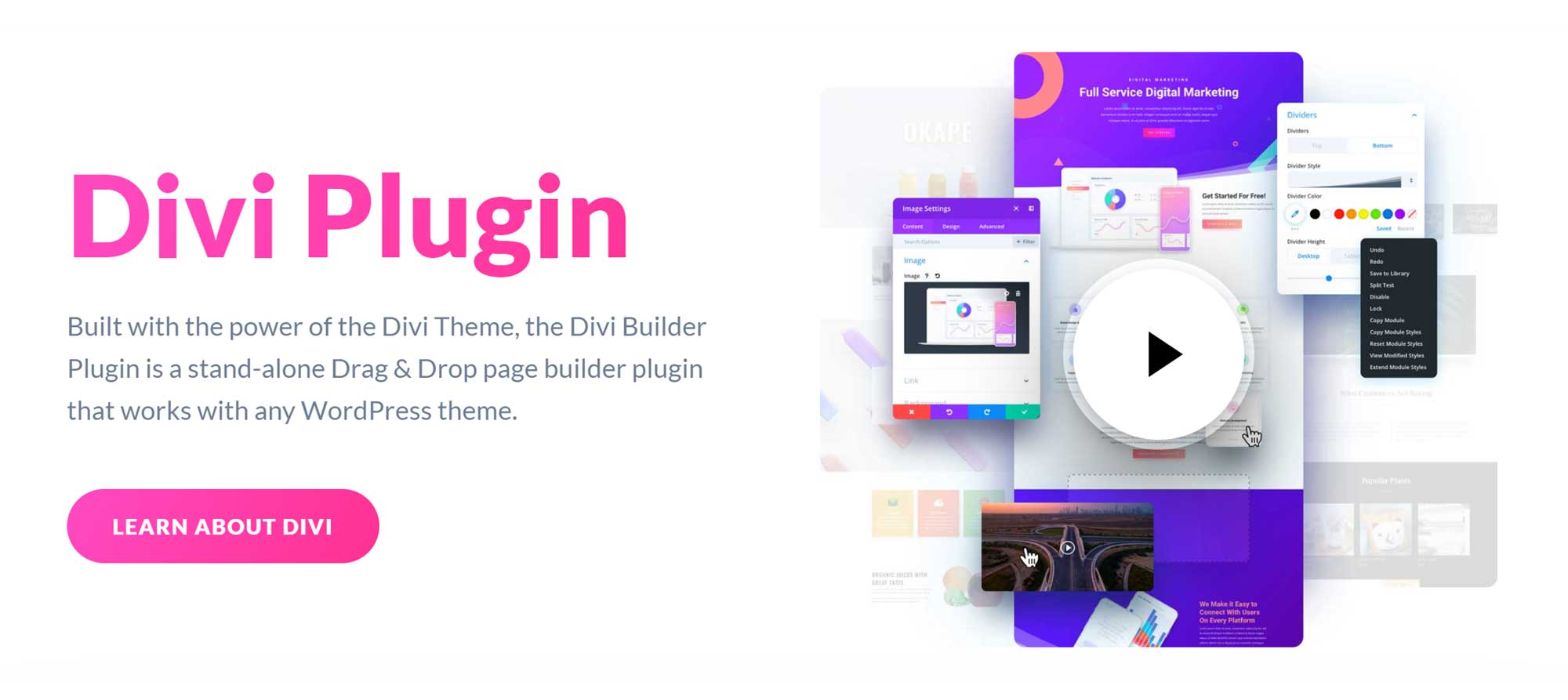 Elegant Themes