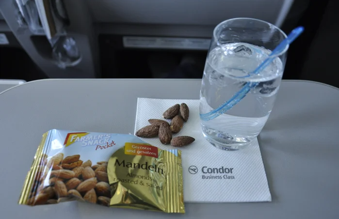 19 Condor Flight Review