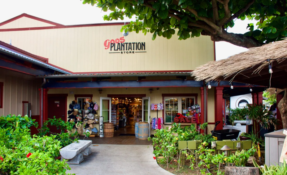 10 Polynesian Cultural Center Honest Review