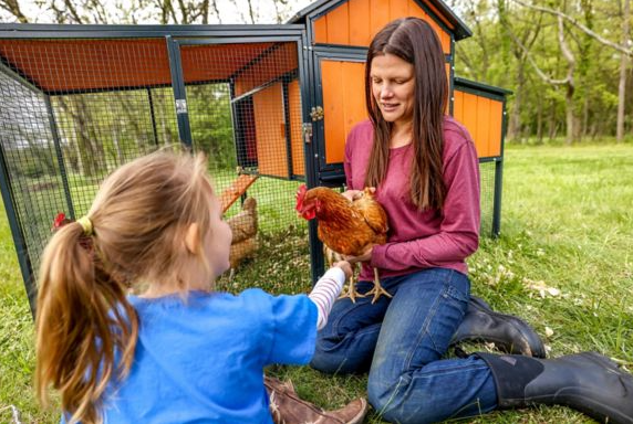 4 Sentinel Chicken Coop