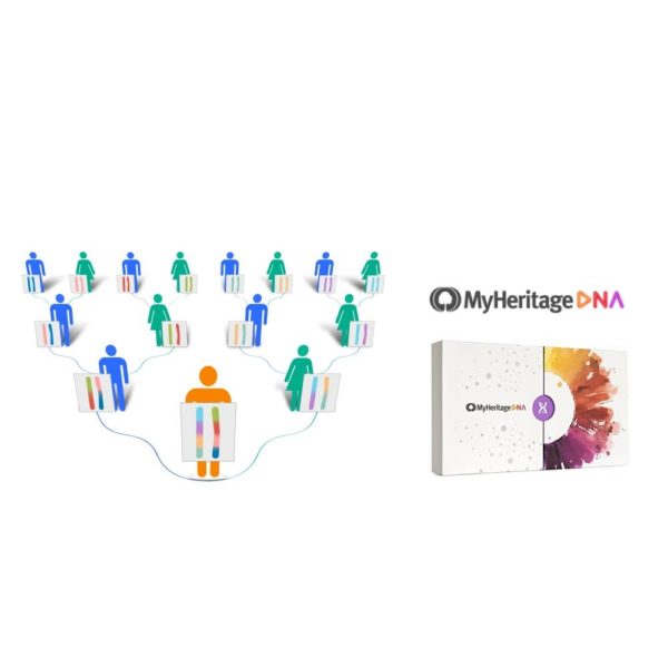 5 MyHeritage-Review