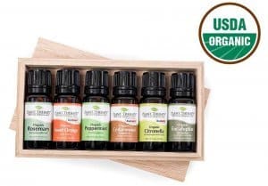 8 plant-therapy-essential-oils-review