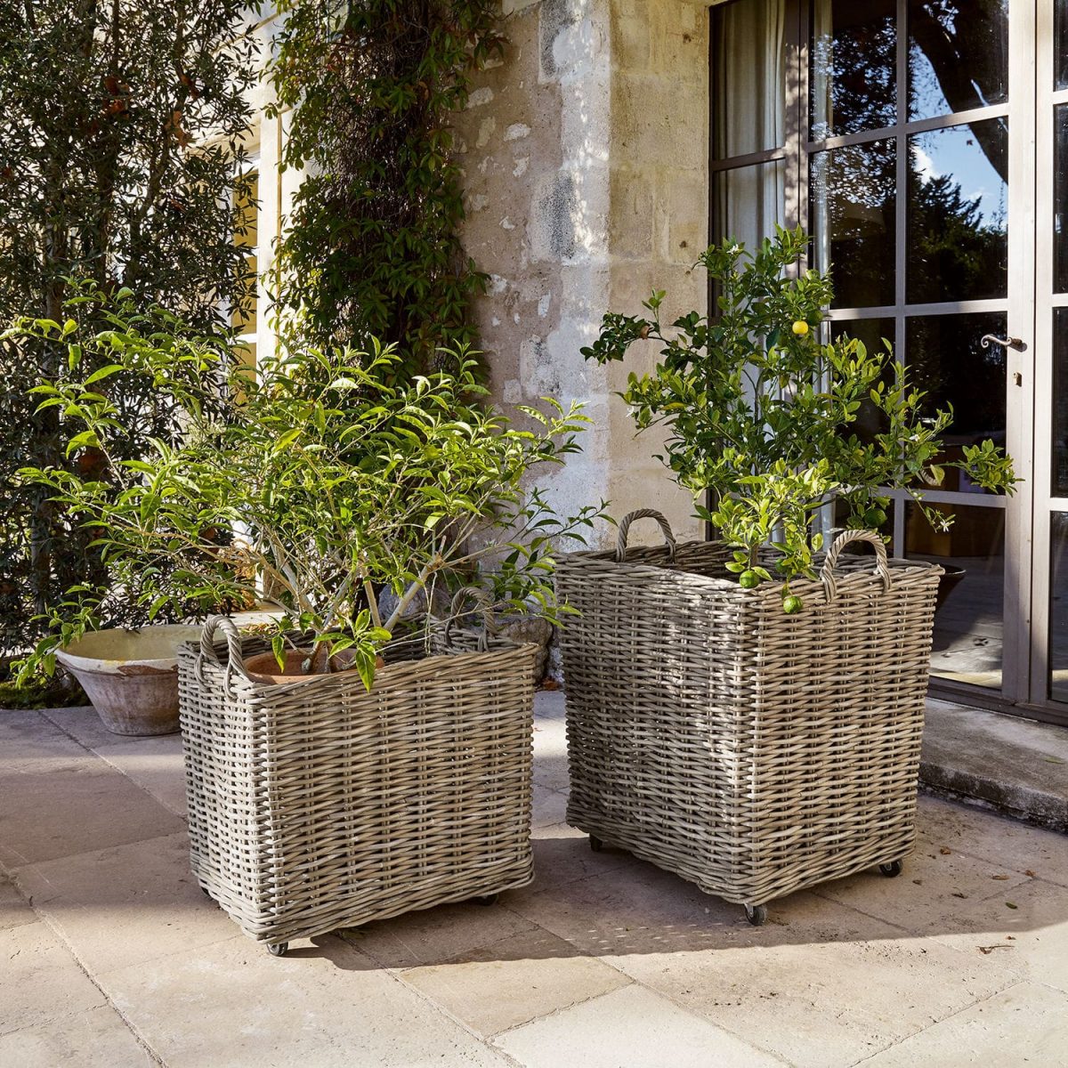 Loberon Coming Home Review