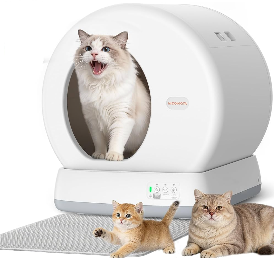 Meowant Review 2026: Smart Pet Care Solutions for Modern Pet Owners Meowant Review