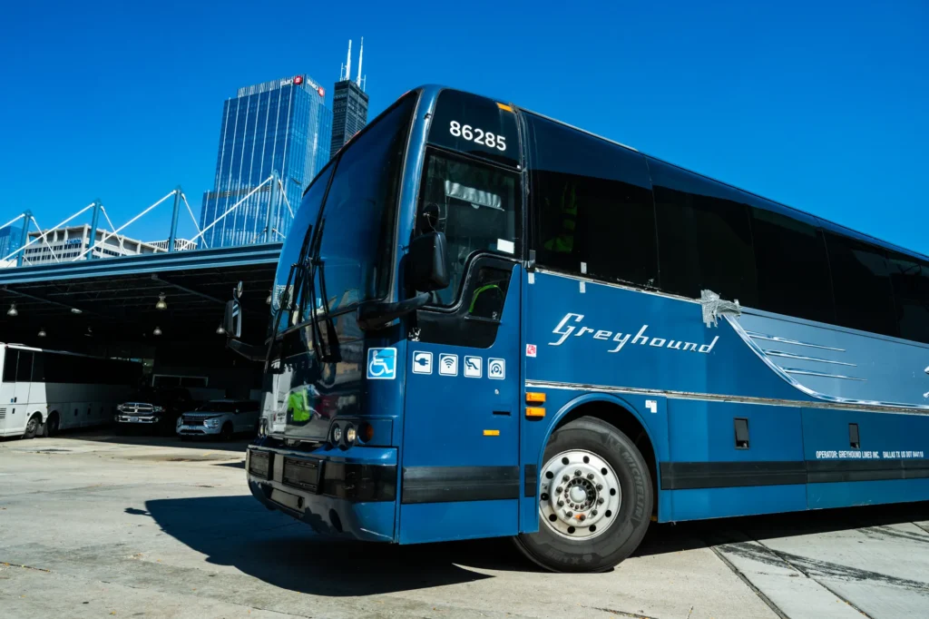 Greyhound Review